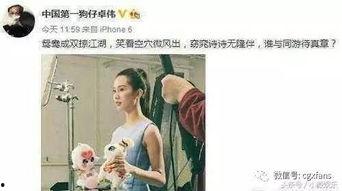 吃瓜娱乐刘诗诗,瓜田里的优雅女神